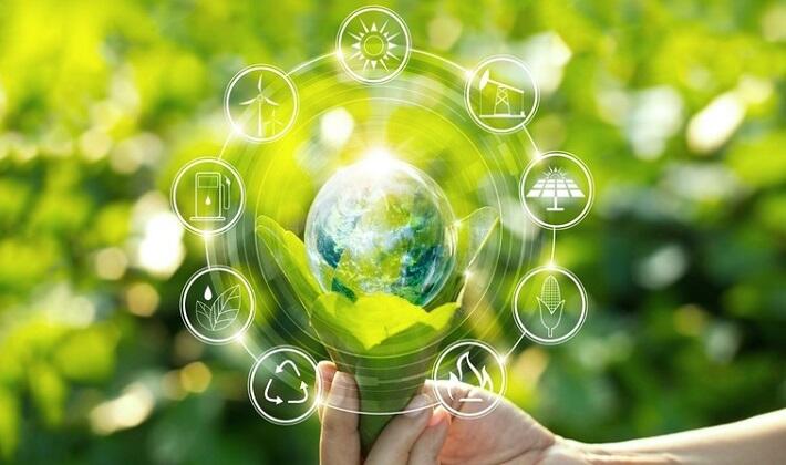 O que é sustentabilidade: responsabilidade social, proteção ambiental e sucesso econômico
